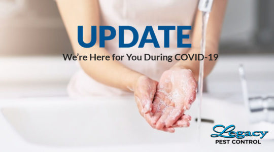 COVID-19 Update from Legacy Pest Control