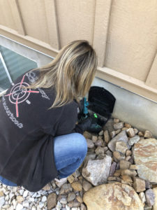 Exterminator baiting a trap - Pest Control Services in Wyoming