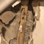 Termite damage behind drywall - Termite Pest Control & Extermination Services Wyoming