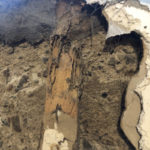 Termite damage up close - Termite Pest Control & Extermination Services Wyoming